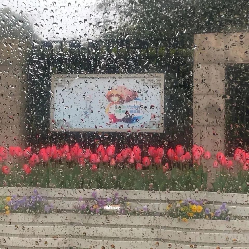 微信背景图和你在一起系列,微信背景图秋冬落叶