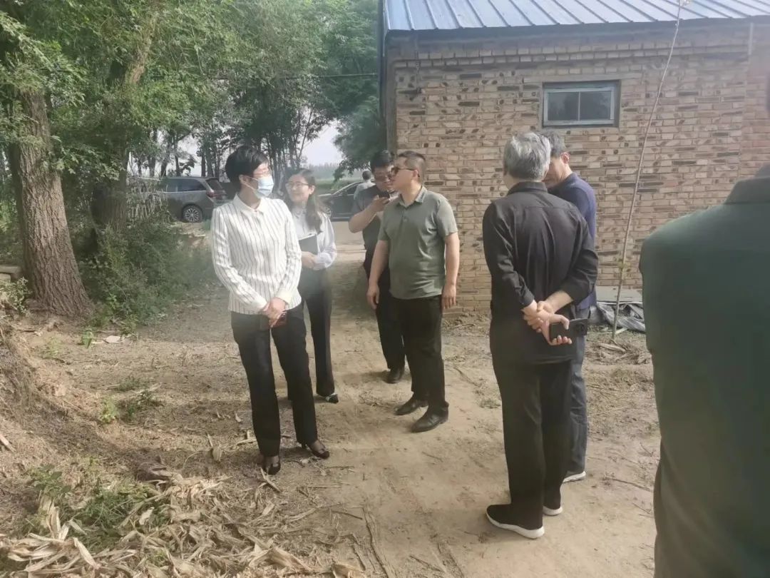 赵虎镇一周工作动态,德州赵虎镇5年计划