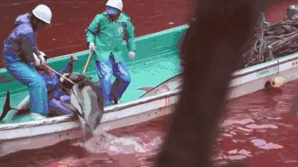 阿凡达2水之道剧情解析,阿凡达2水之道隐藏细节