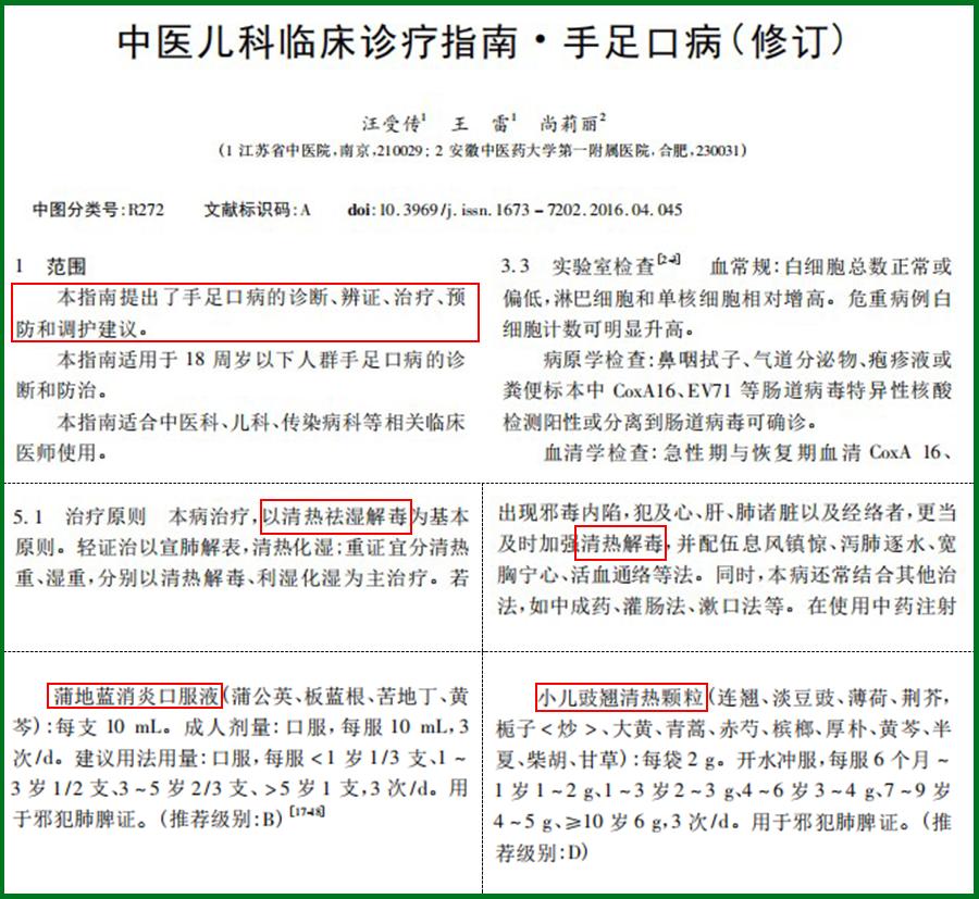 手足口病诊疗指南总结,手足口病诊疗指南及解读