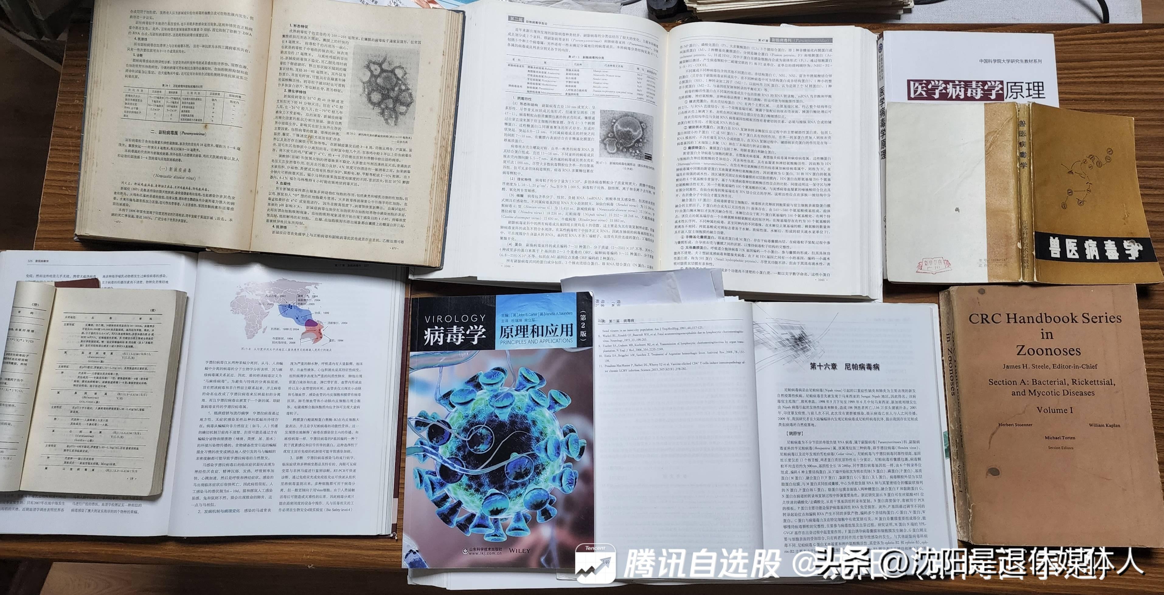 缇庡浗鐙肩墮鐥呮瘨,鐙肩墮鐥呮瘨鍦ㄥ摢鍎垮彂鐜扮殑