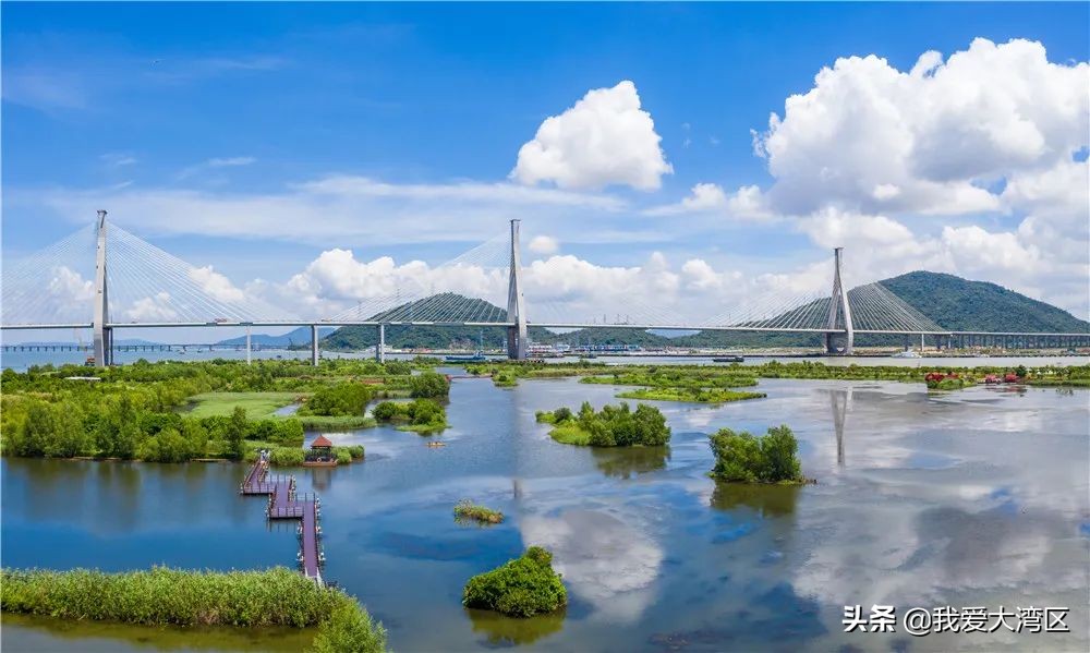 珠海春游赏花,珠海周边踏青景点