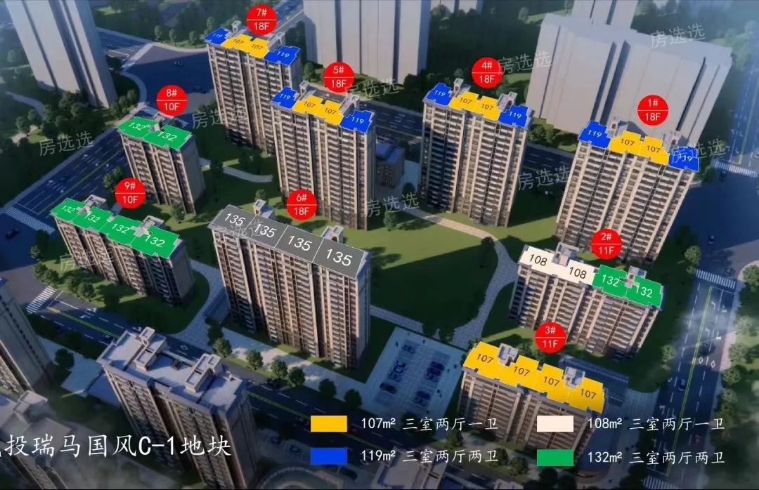 张马瑞马国风项目,张马片区到底值不值得买