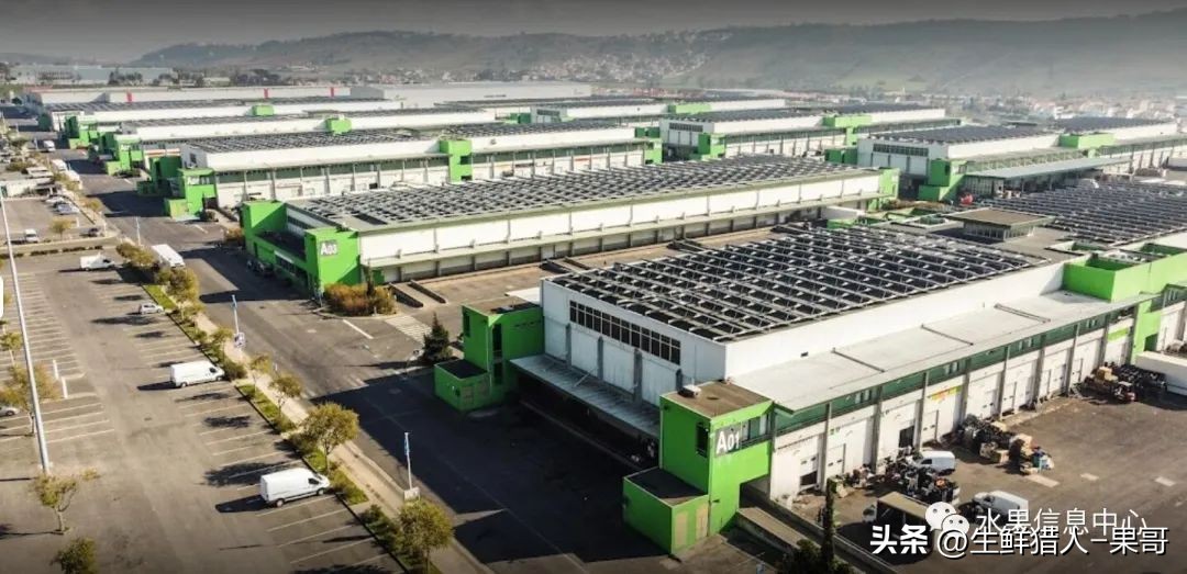 世界第一果蔬批发市场,中国十大果蔬批发市场