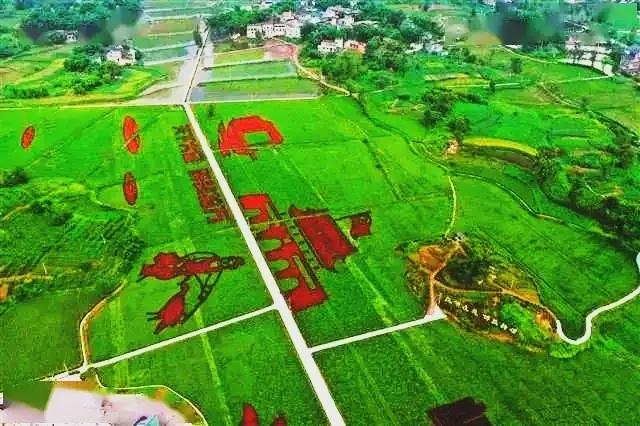 大足隆平五彩稻田有什么特色,重庆大足隆平五彩田园景区