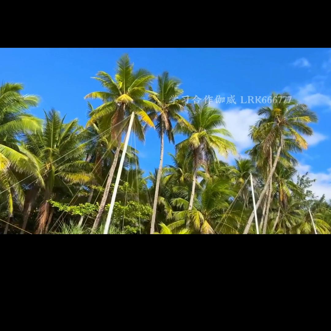 女人一定要自己赚钱不取悦别人,女人自己赚钱别委屈自己