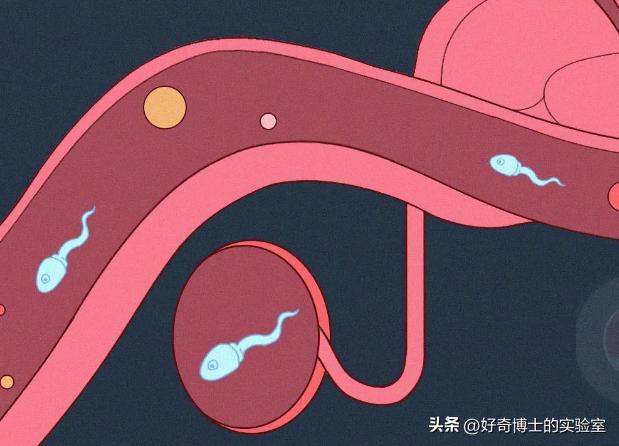 纵欲过度，真的会死人吗？历史上有没有精尽人亡的案例？