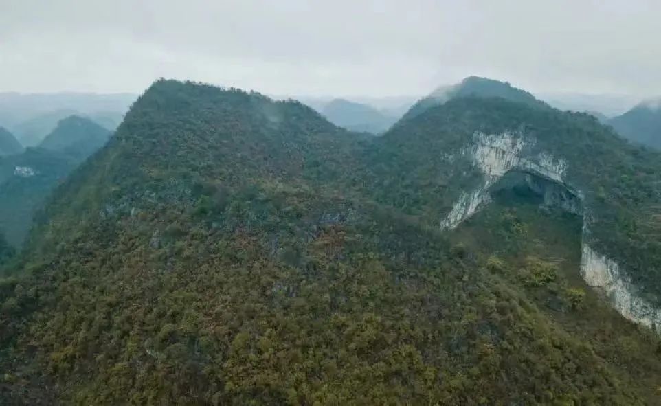 “女子被拐10年，刷到熟人视频后留言求救”疑涉造假，男子回应：是自由恋爱，我拐卖妇女警方怎么不把我带走