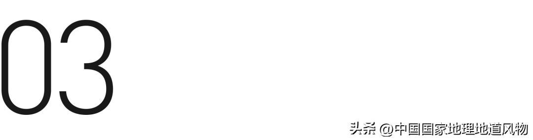 天津人的仪式感：打卤仨小时，“秃噜”五分钟