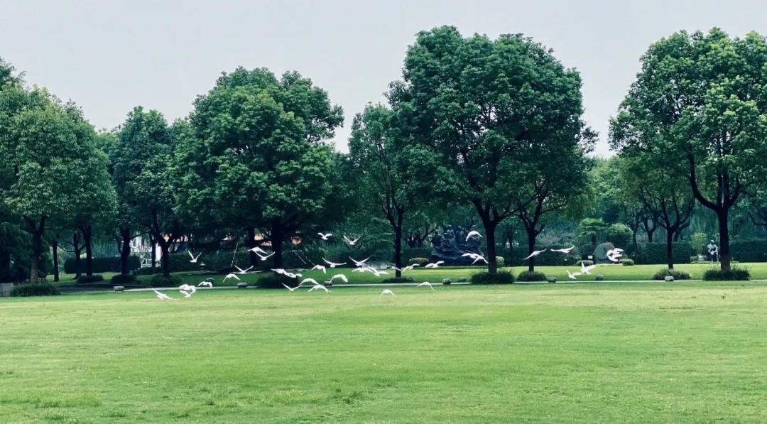 最美爱情主人公,最美爱情男生版