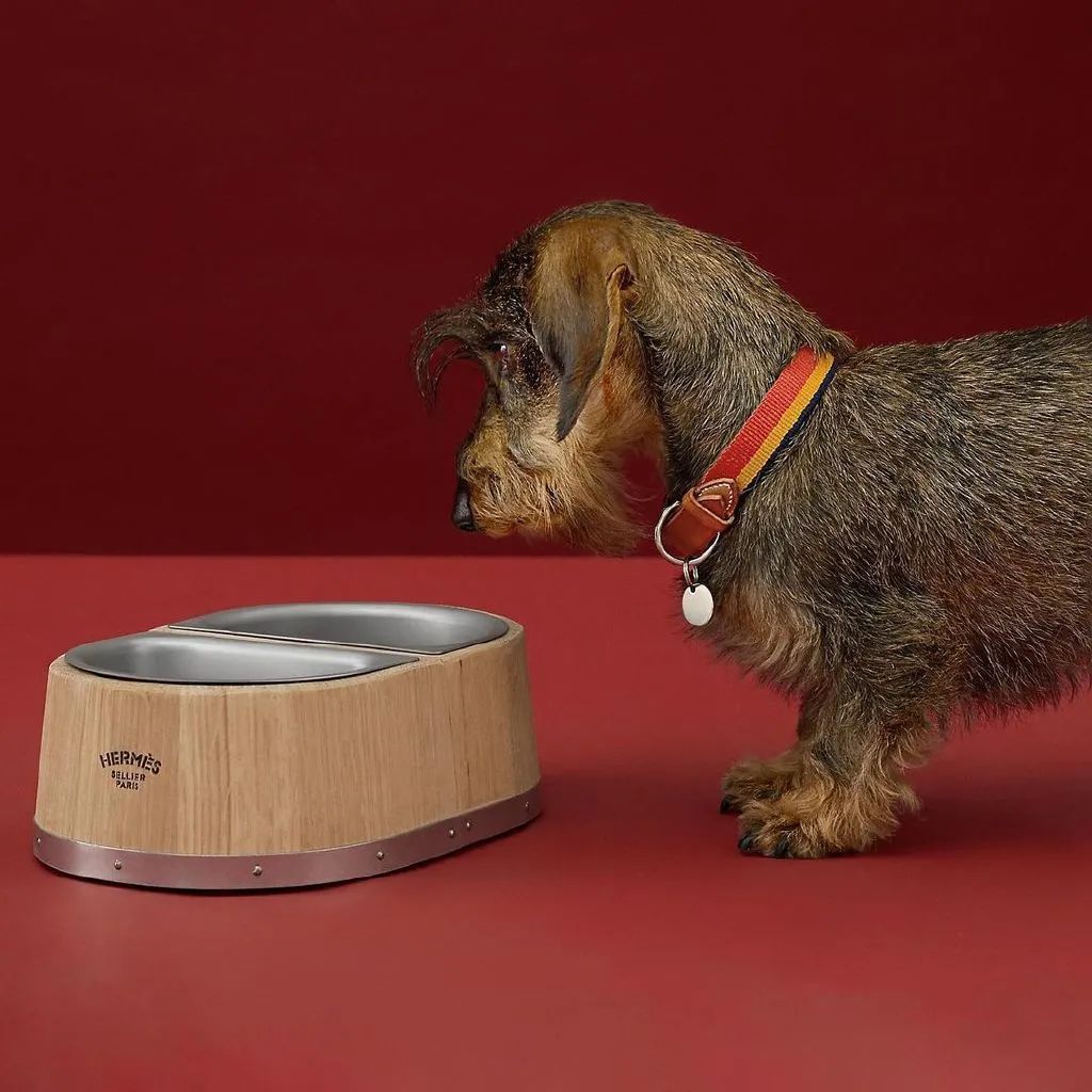 顶流卖丑大翻车！11万的透视裤、露奶衫，25万的飞机包，狗都不买