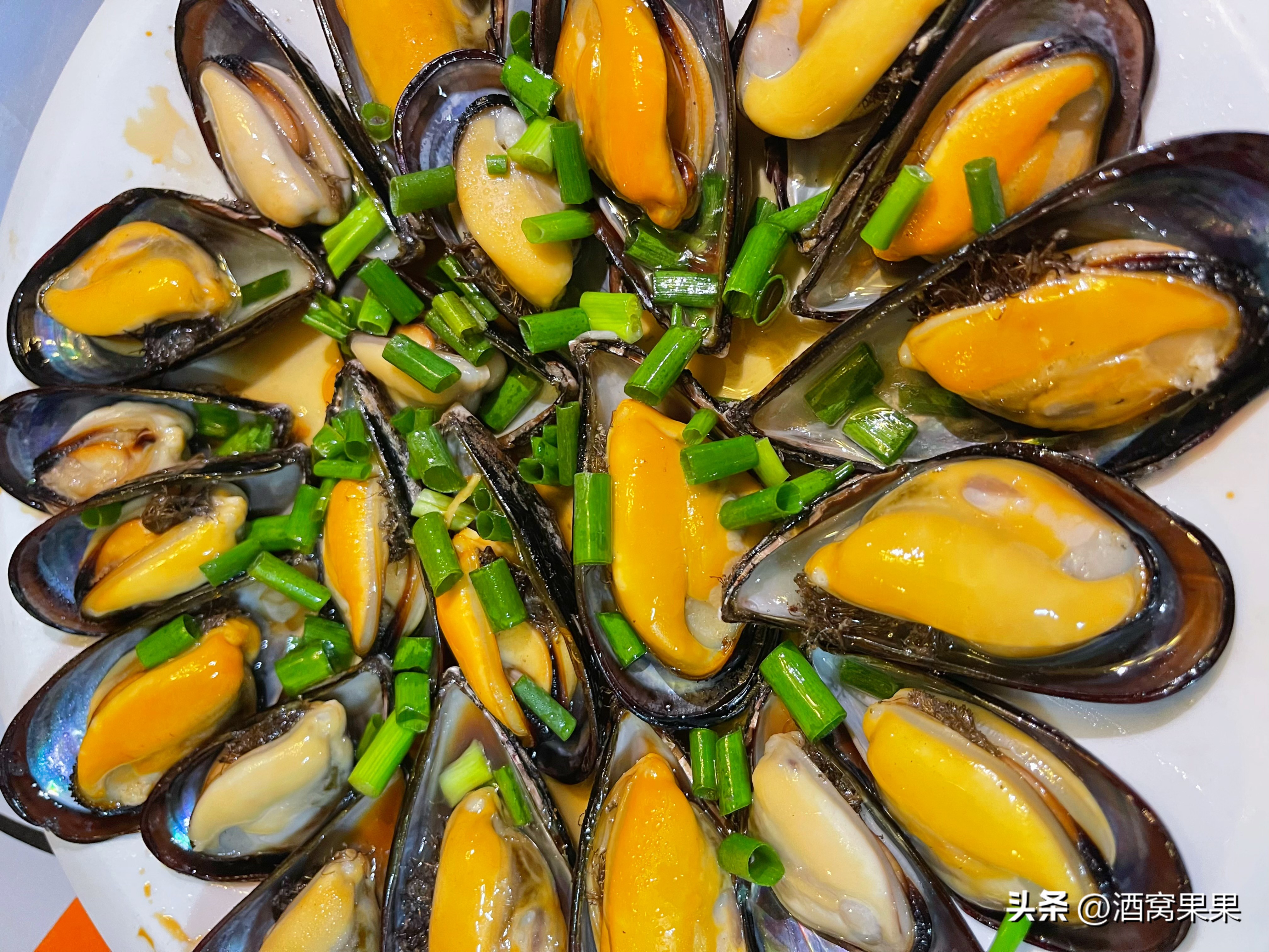 福鼎两天一夜旅游攻略,福鼎茶漫步茶园体验采茶之旅