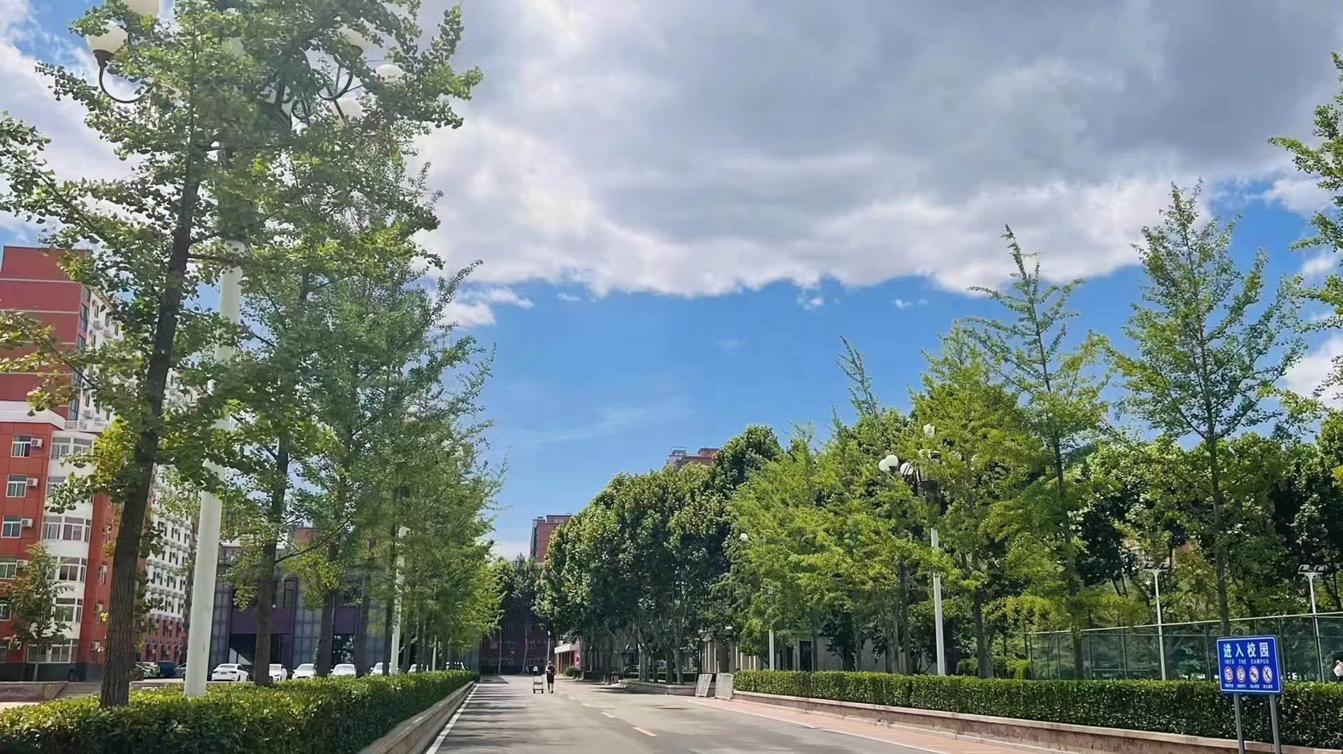 北大青鸟学校技校学费价格表,北大青鸟学费一览表联系方式