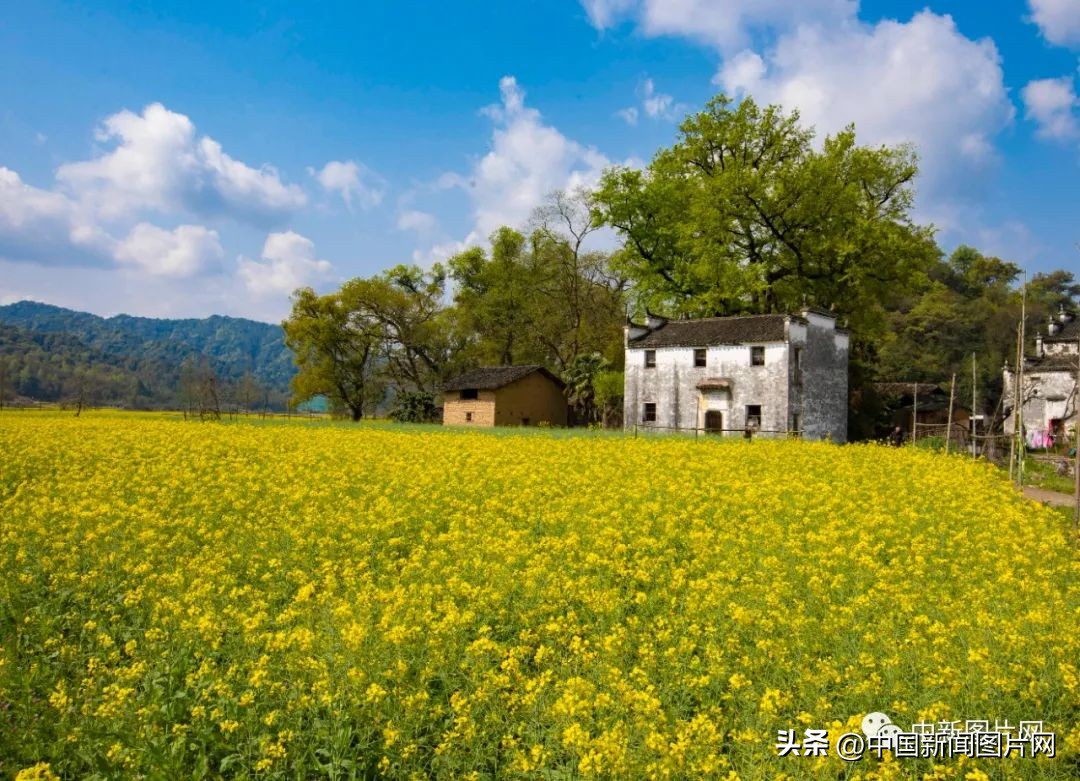 招募！荷赛大师带您记录“美丽中国美丽婺源”