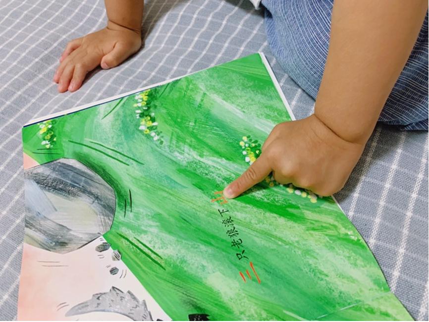 一套真正适合国内幼儿的分级读物！让孩子在阅读中轻松识字长知识