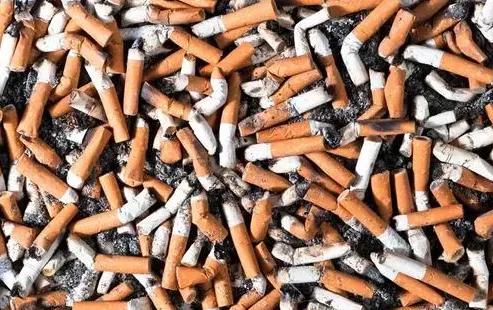 日本为何收购我国废烟头,烟头回收到底用来干什么