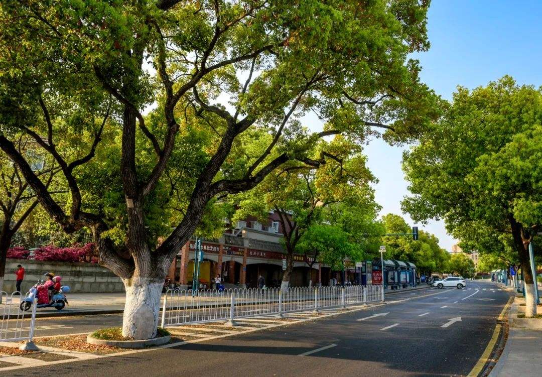 去吹江边的风,麓山南路吹过的风