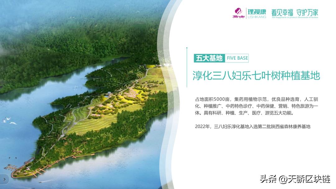 三八妇乐与理视康的关系,三八妇乐公司和理视康关系