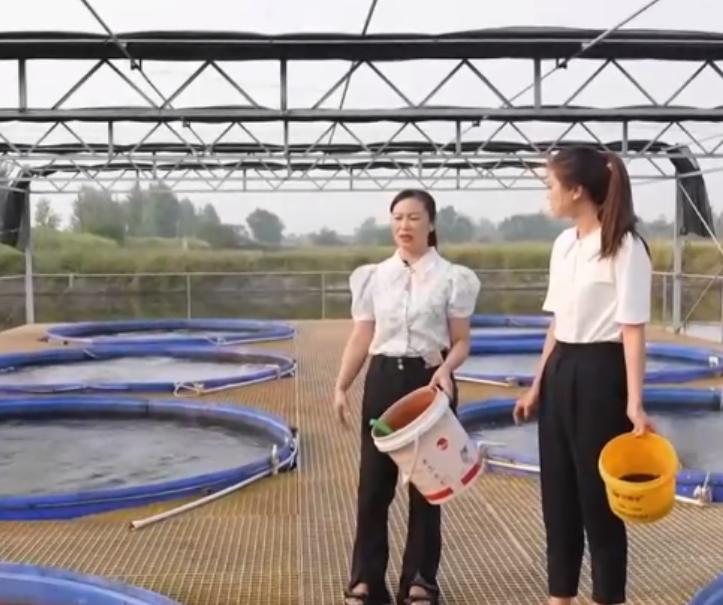 湖北女子独创大桶养鱼新模式，一桶鱼能卖到5万元，靠此年入百万