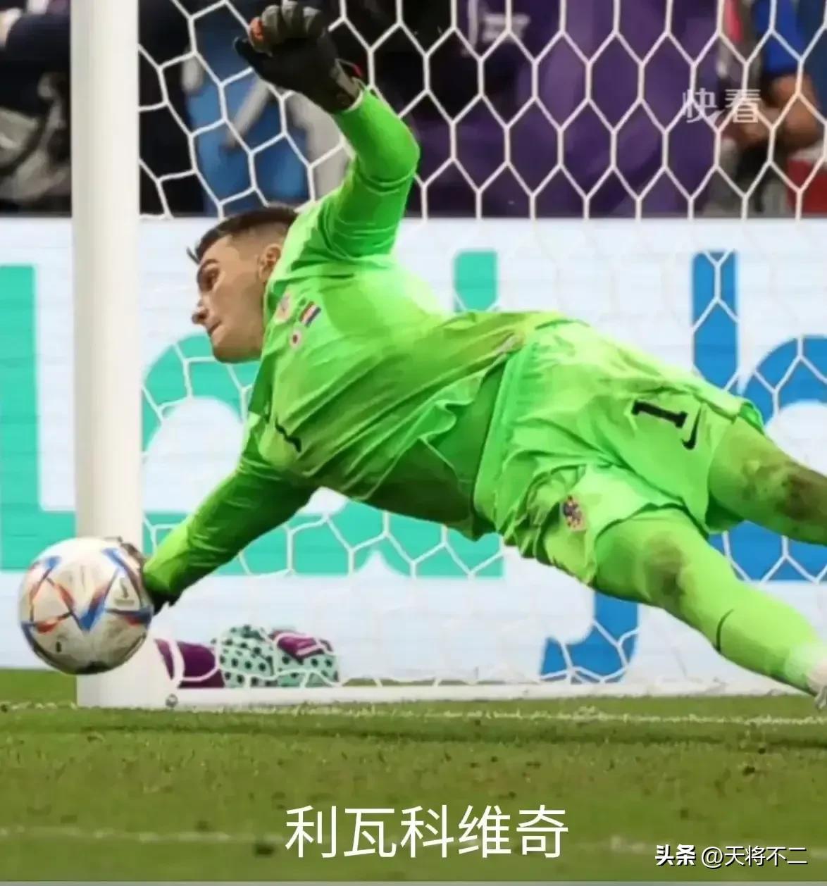 雅辛八爪鱼,八爪鱼雅辛