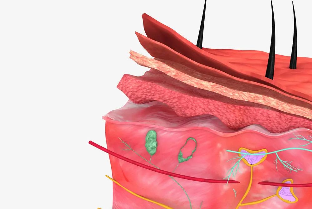 氧化锌软膏你用对了吗