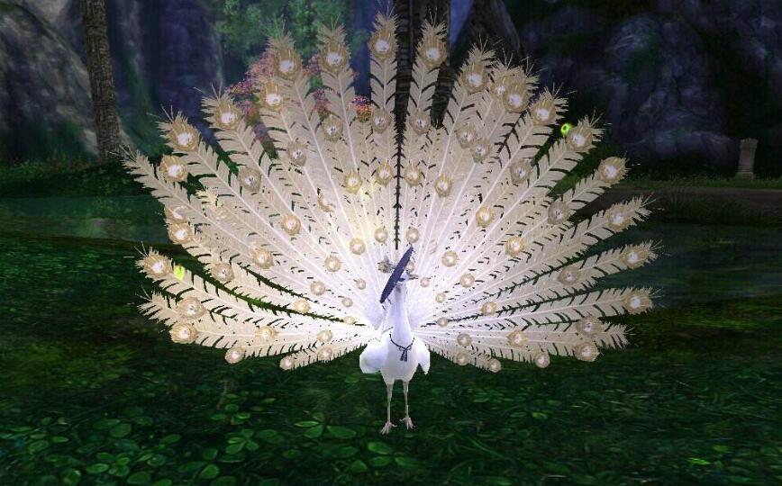 剑网3明教为什么叫喵哥,剑网3明教喵姐