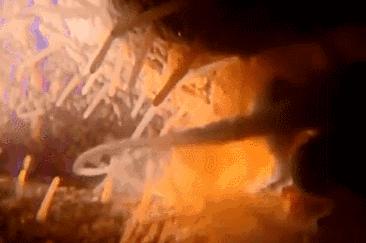 精子能正常存活多久,论坛上讲精子最长存活几天受孕