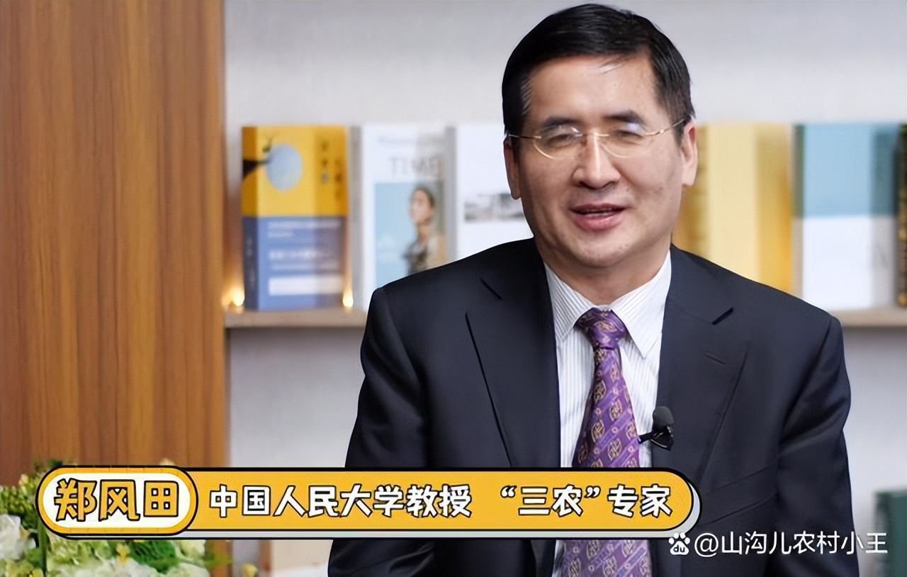 不懂农村的专家对农村的建议,专家给农民的十大建议