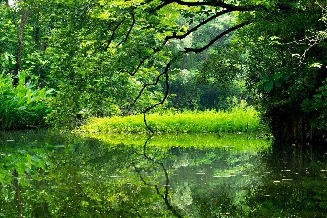 你几月出生就是什么命太准了,几月生是水命人