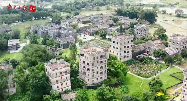 高启强,在“京海”卖鱼真的可以发家!