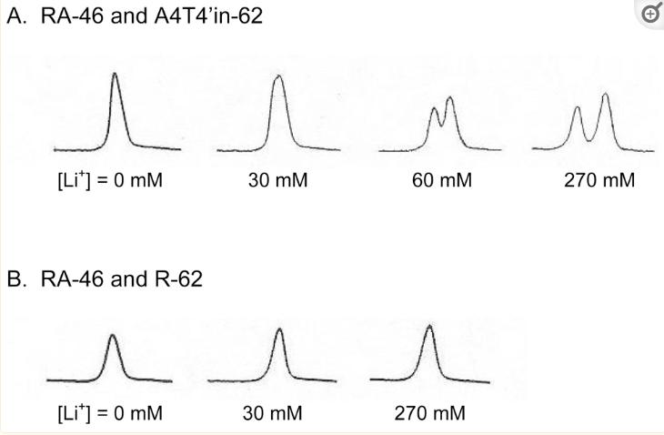 探究移动色氨酸是*霉素黄**抗生素合成黄素酶中内在电荷转移供体应用