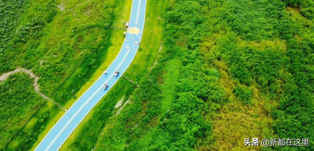 如果城市有颜色重庆,如果城市有颜色作文
