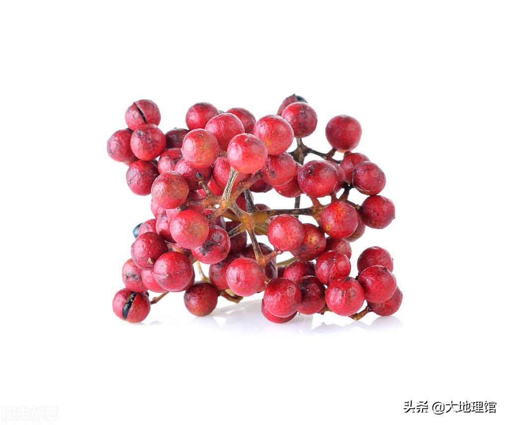 四川饮食以辣为主还是麻为主,四川是麻还是辣