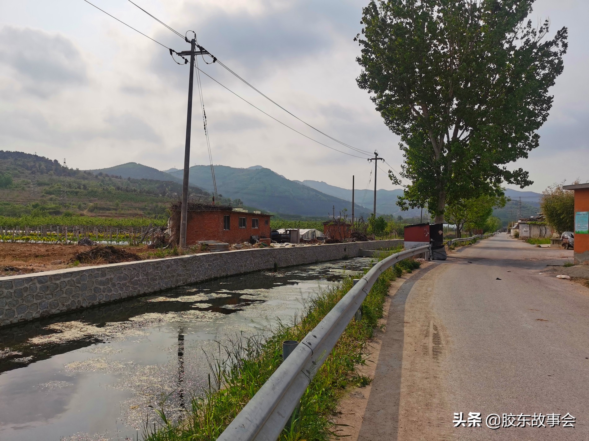 老福山县,牟平老福山