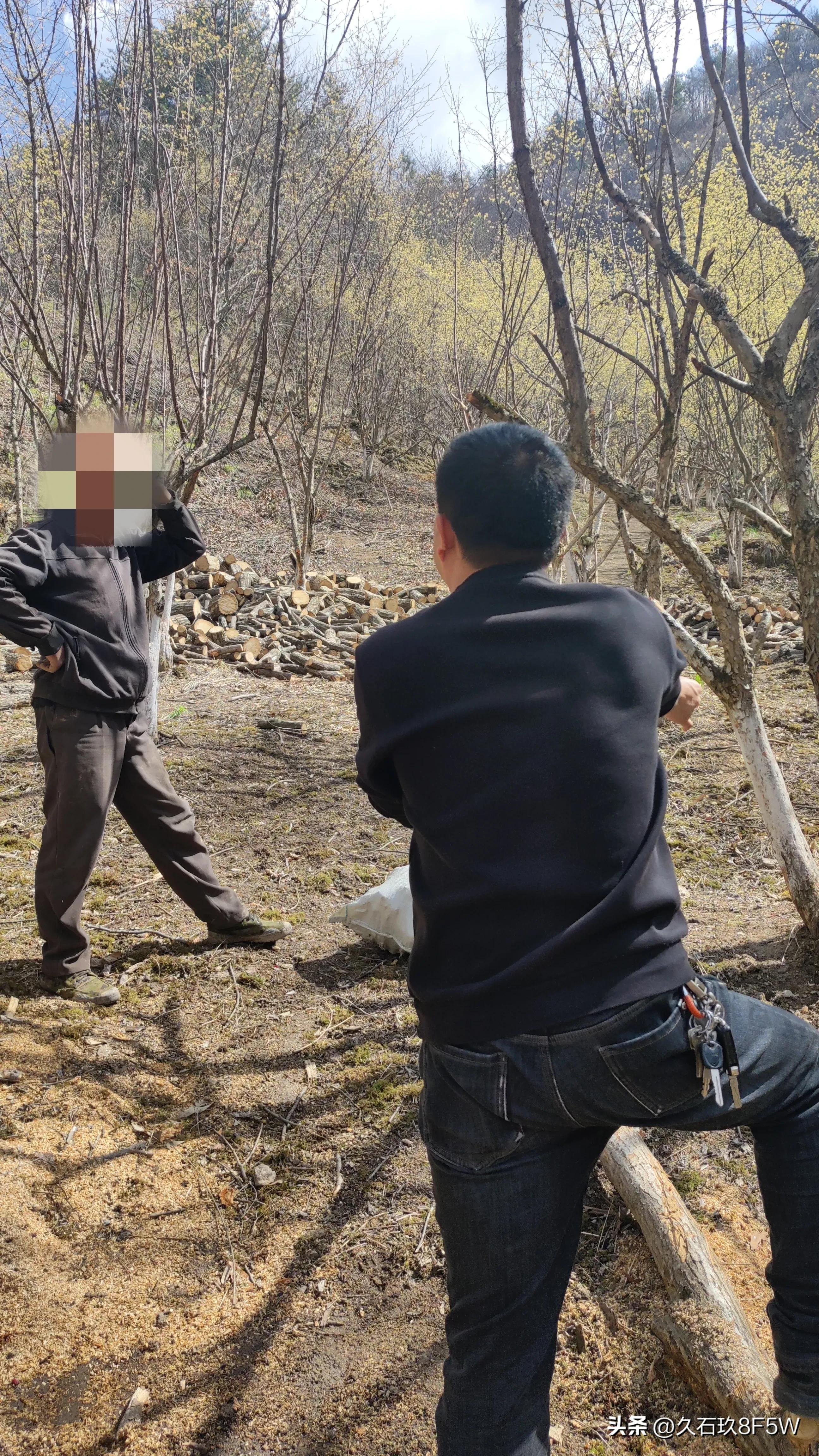 村干部已成高危职业，为何还有人争当“恶贯满盈”的村干部