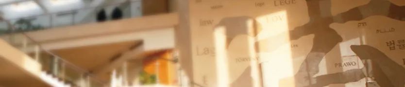 陈兵：因应超级平台对反垄断法规制的挑战