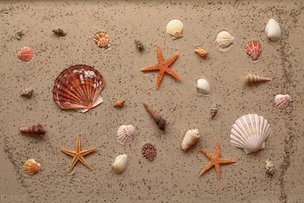 蓝蓝的天空,蓝蓝的天空白云飘儿歌