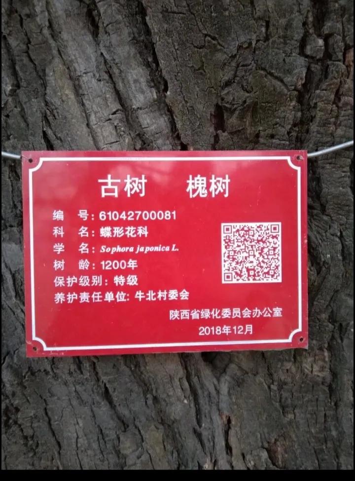 彬州市水口镇牛堡村简志