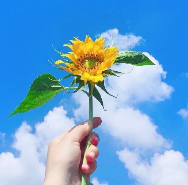 成年人的个性签名,成熟内涵,人人点赞!