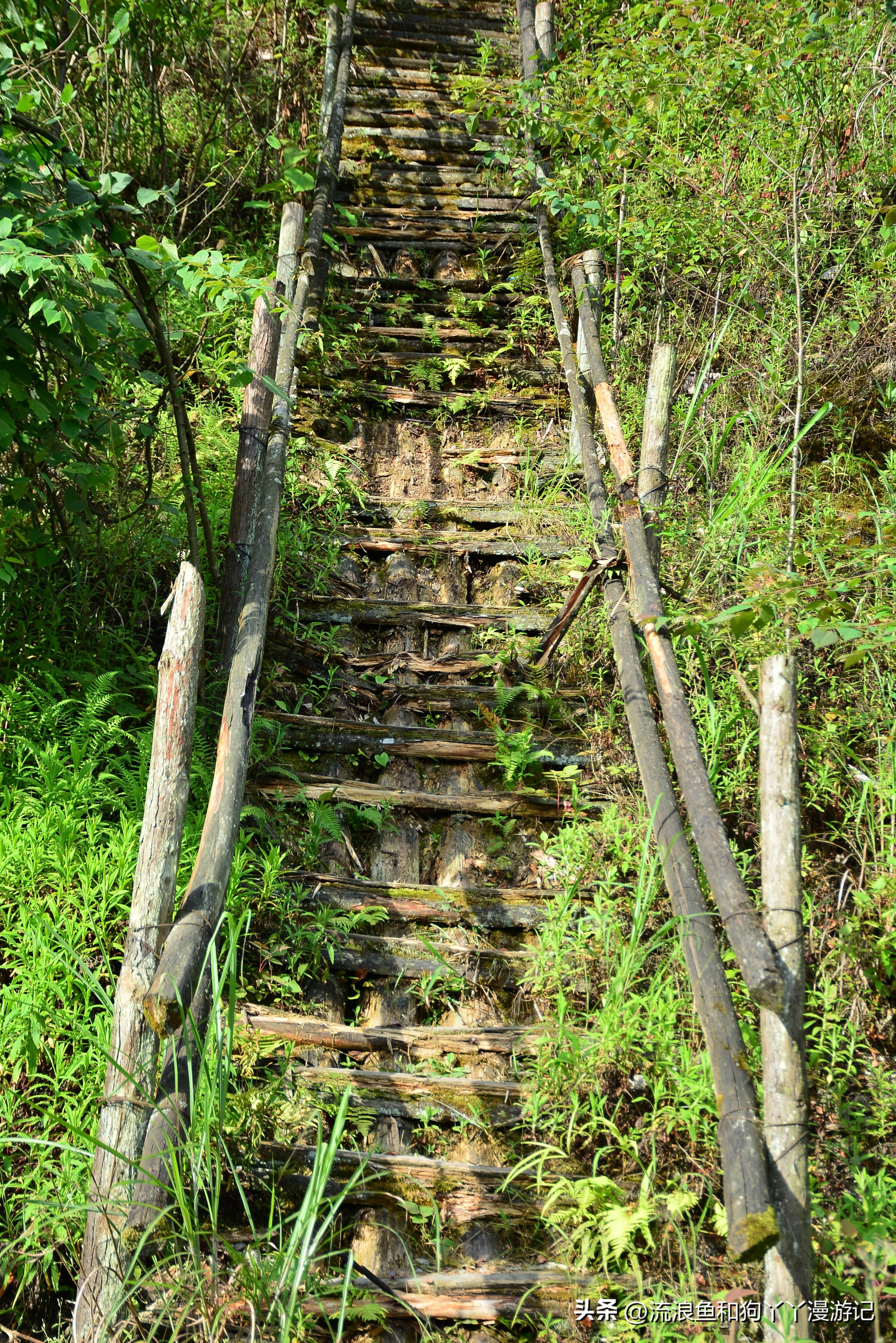 四月份成都近郊一日游好去处,2022成都近郊看雪一日游最佳去处