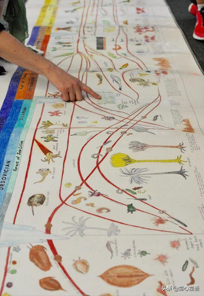 蒙台梭利教具适合几岁孩子,蒙台梭利幼儿教具都有哪些