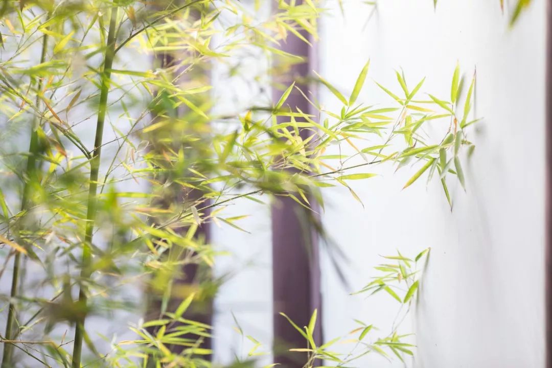 过年简短走心的古诗词,欣赏过年最经典的古诗词