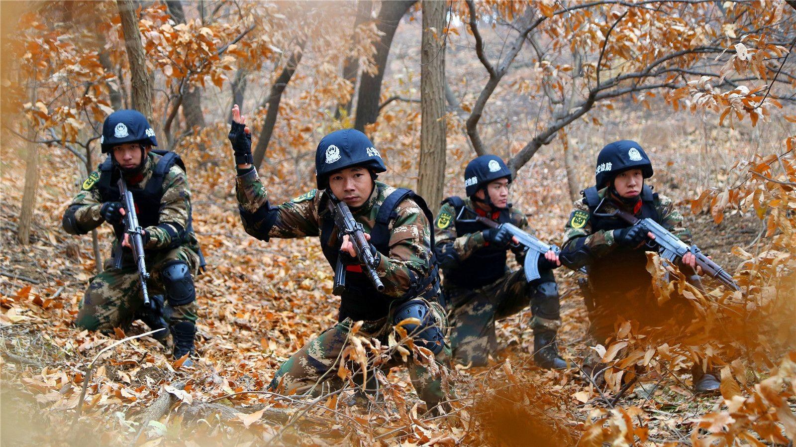 中国边防部队历史沿革,解放军边防部队的历史由来