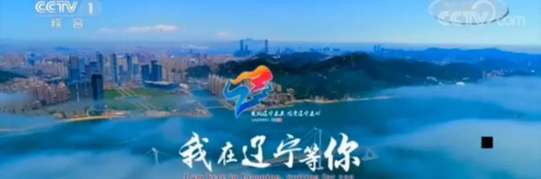 注意过吗，你的家乡在央视的广告词是什么？