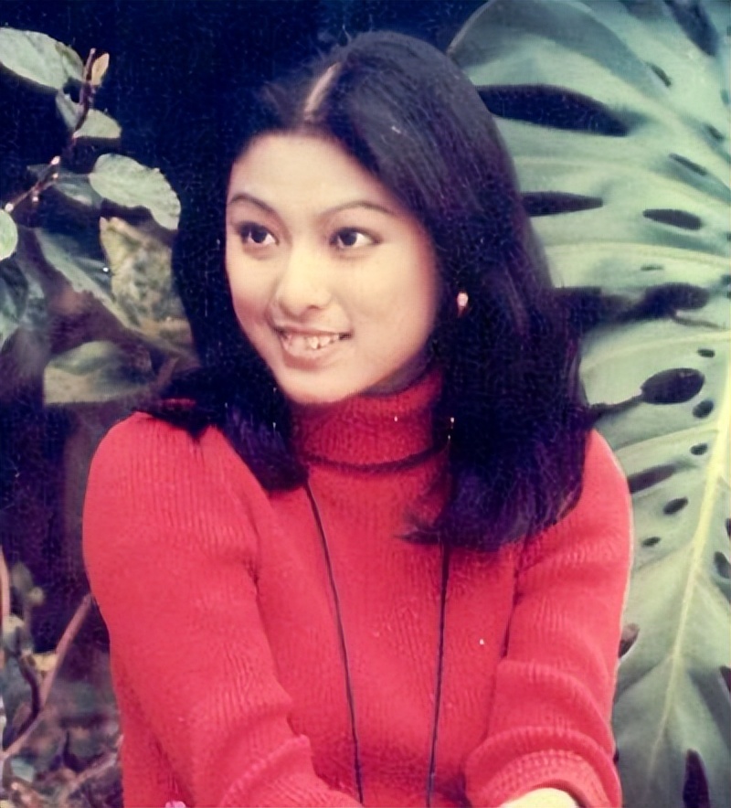 米雪主演的古装武侠电视剧,米雪双剑合璧的武侠电视剧