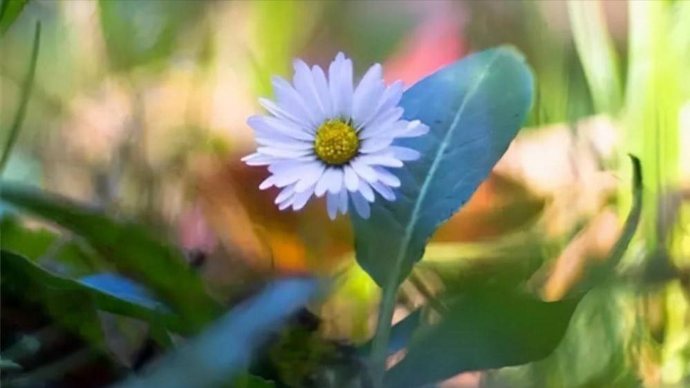 面对瞧不起你的人最好还击,面对瞧不起你的人怎么说