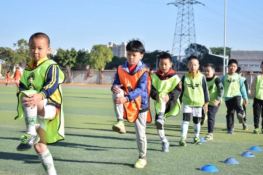 我为群众办实事公益讲堂,我为群众办实事学生版活动方案