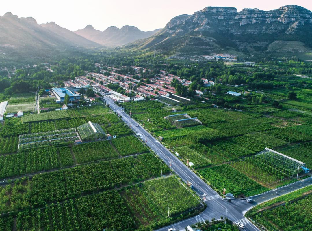 逛吃逛吃歌曲,逛吃逛吃大张伟