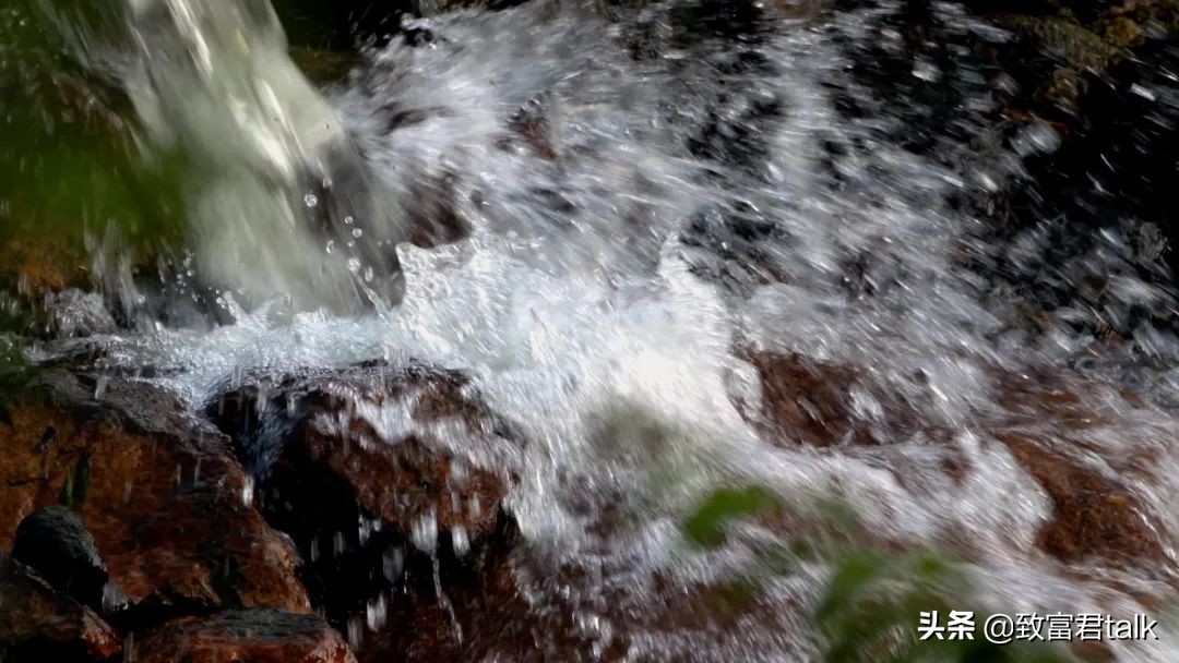 卖馒头一年赚500万,卖馒头可赚钱