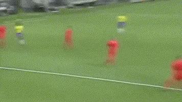 里瓦尔多在欧冠中的表现,里瓦尔多的10个最佳进球